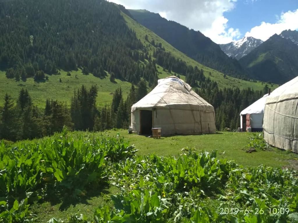 Хостелы Yurt Camp Tyuk Bogoshty Pervomayskoye-7