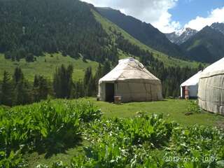 Хостелы Yurt Camp Tyuk Bogoshty Pervomayskoye Односпальная кровать в общем номере-1