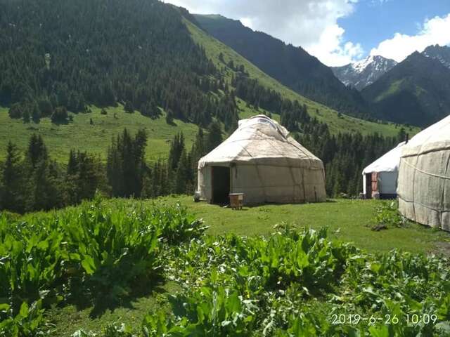 Хостелы Yurt Camp Tyuk Bogoshty Pervomayskoye-6